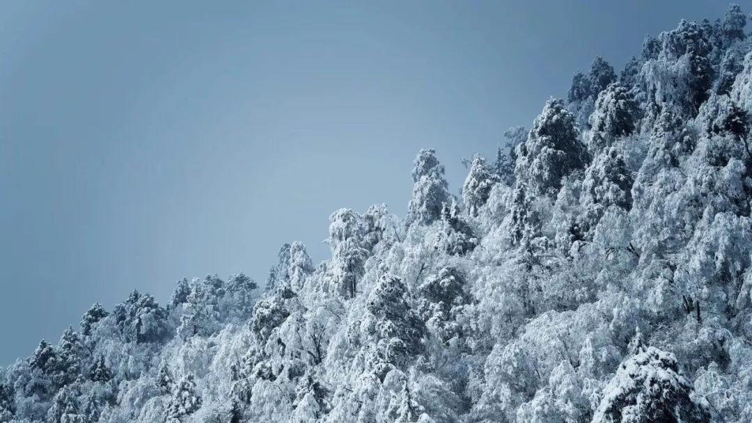 探索苹果手机有哪些长截屏app?的知识星球平台,解读最新科技资讯