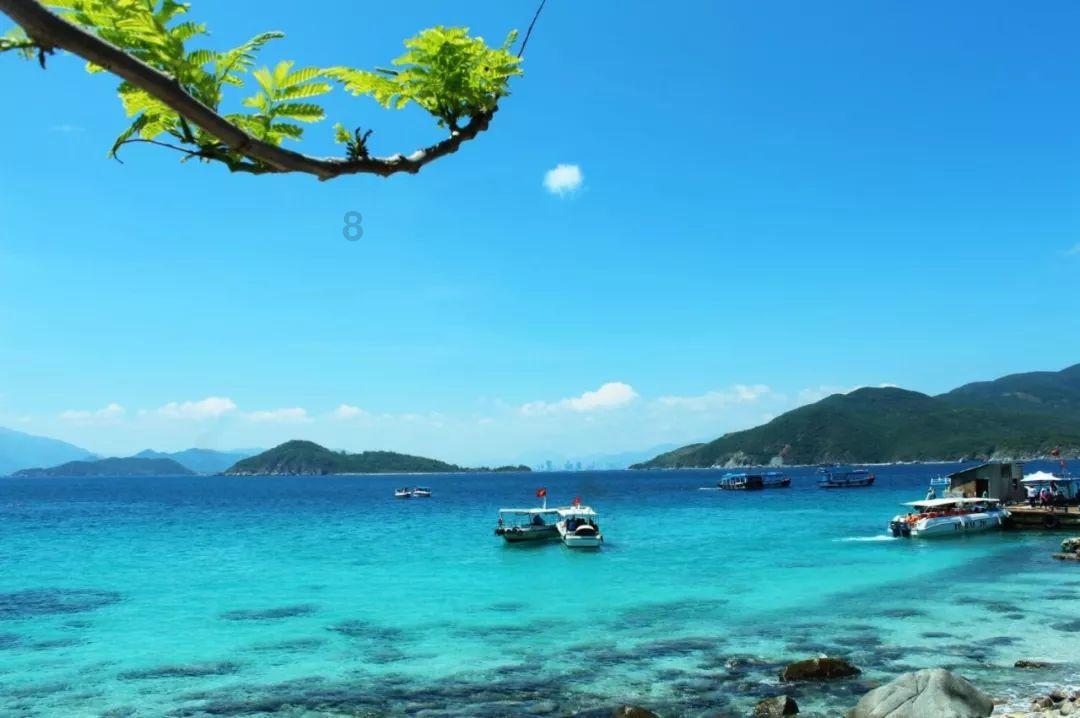 寻找沙漠珍宝
